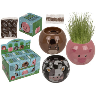Grow-a-head – Hračka v podobe zvieratka z farmy Grow-a-head – Hračka v podobe zvieratka z farmy