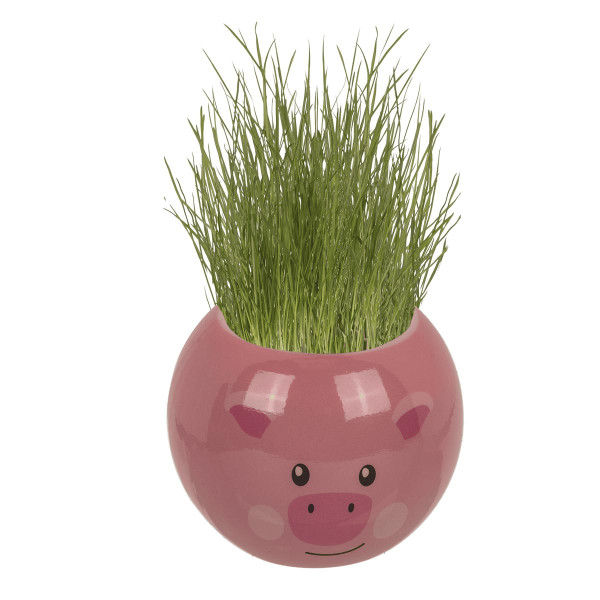 Grow-a-head – Hračka v podobe zvieratka z farmy