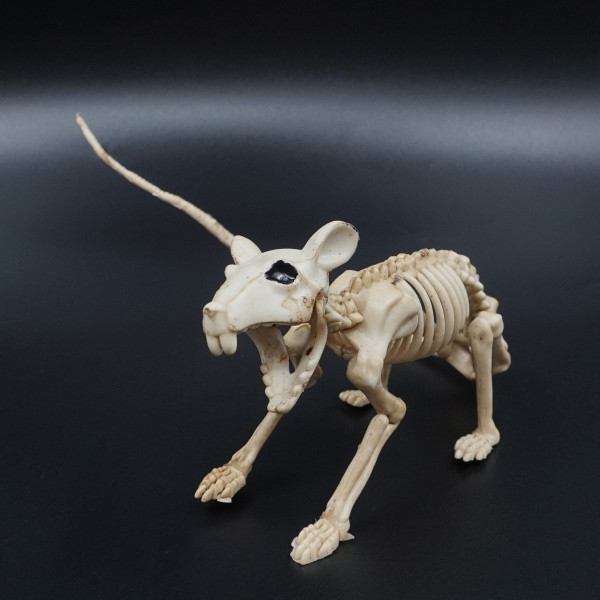 Halloweenska figúrka „Kostra potkana“ Halloweenska figúrka „Kostra potkana“