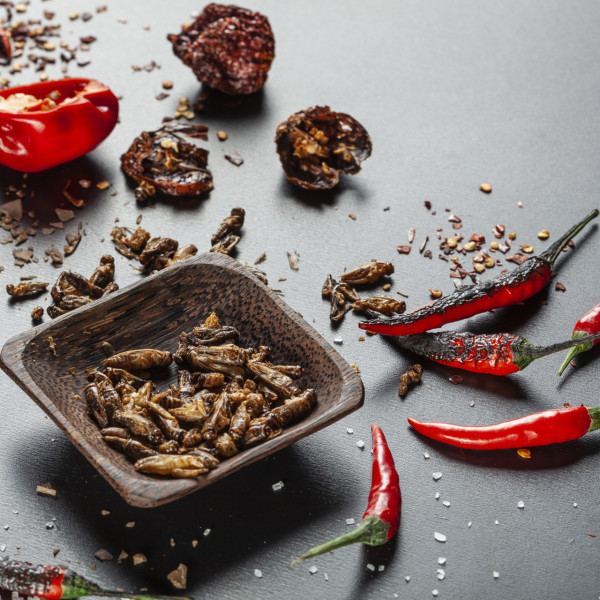Extra pikantné chrumkavé pražené cvrčky „Carolina Reaper“ Extra pikantné chrumkavé pražené cvrčky „Carolina Reaper“